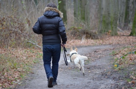 dierendag turid rugaas