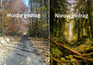 nieuw gedrag aanleren